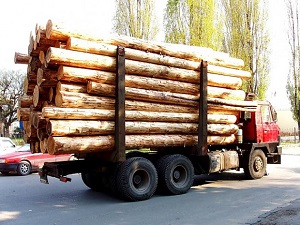 Перевозка древесины